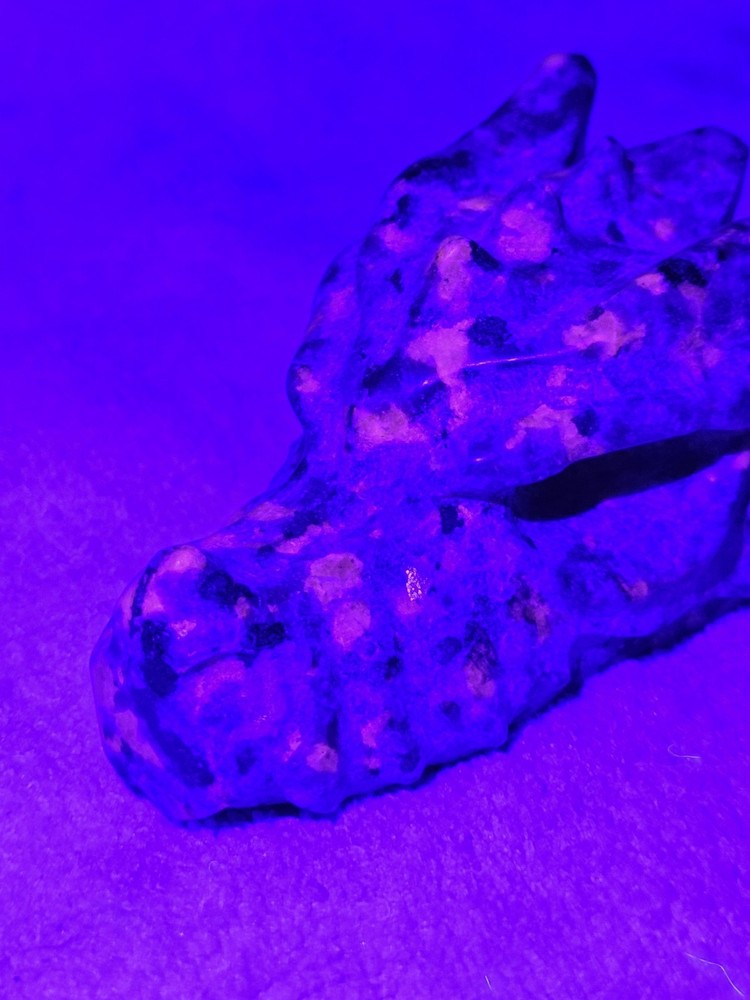 Yooperlite Dragon Skull 3" L 180g Glows Under UV