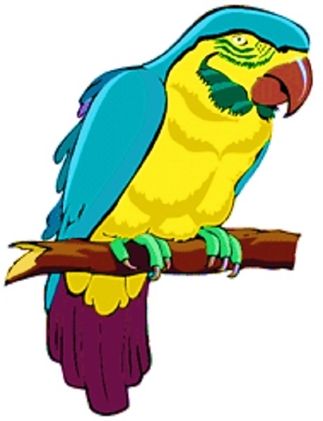 30 Custom Blue & Gold Macaw Personalized Address Labels