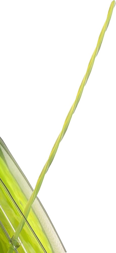 Greenworks 0.080" Twisted Trimmer Line 200ft Spool Durable String for Grass Weed