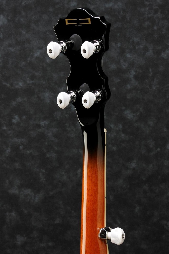 Ibanez B300 5 String Closed Back/Resonator Banjo