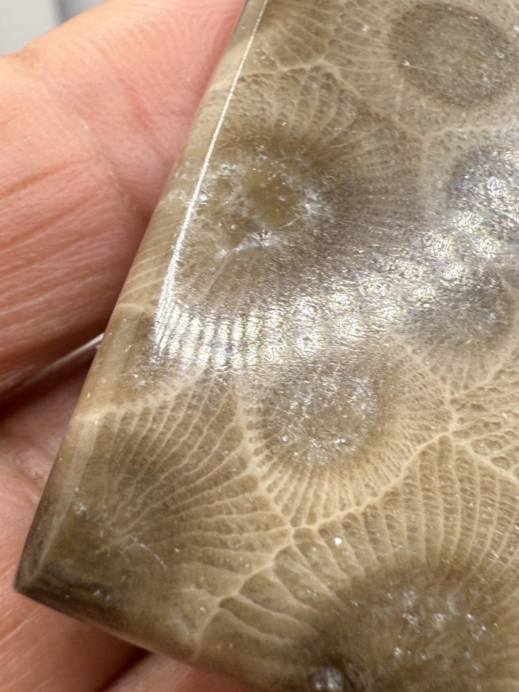 Vintage Petoskey Stone Bolo Tie Square Shape