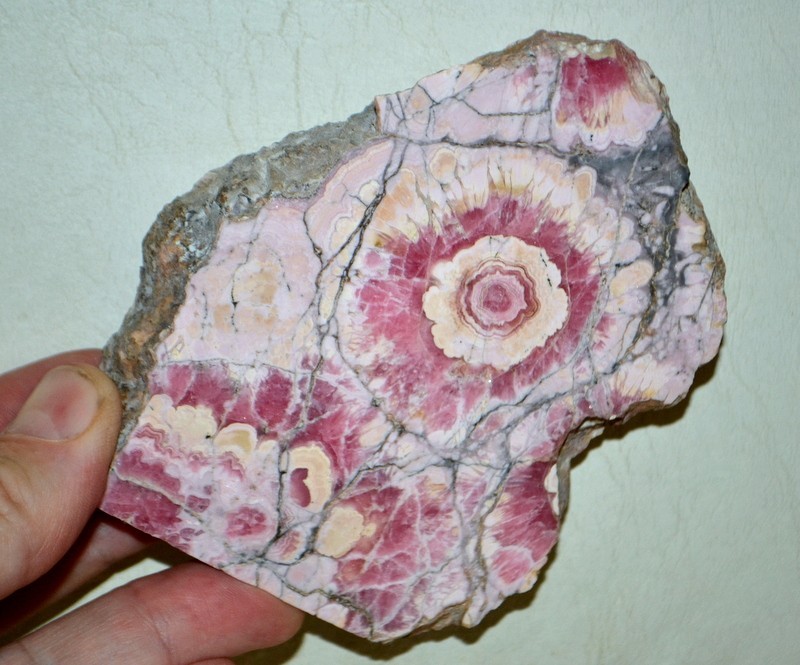 Big Rhodochrosite Stalactite Flower Slab from Argentina