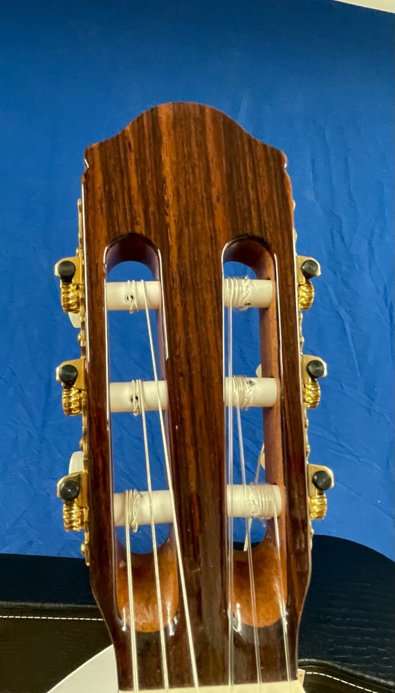 Raimundo 120E Classical Guitar Ovangcol + Solid Cedar Top , Fishman NEW SPAIN