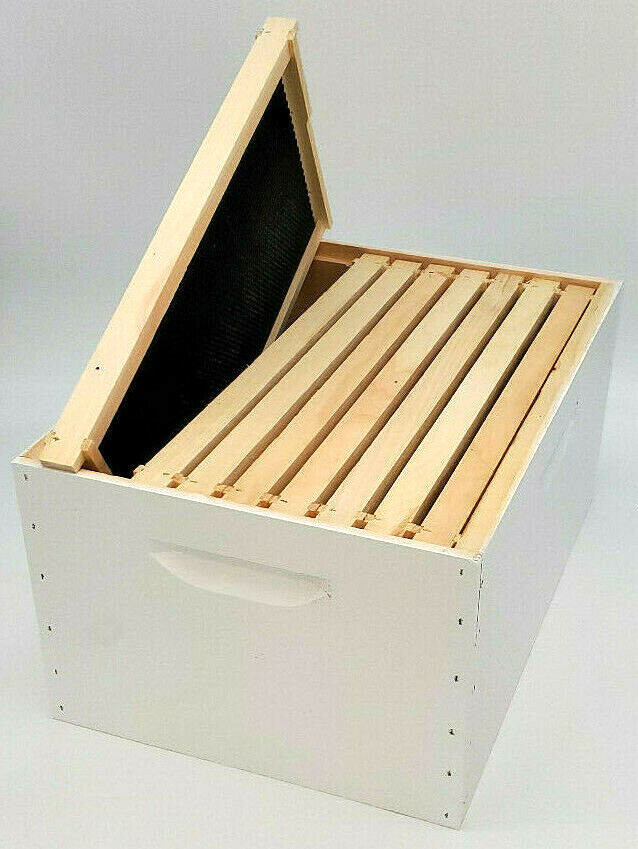 Fully assembled and Painted 8 Frame Deep Hive Assembled Frames