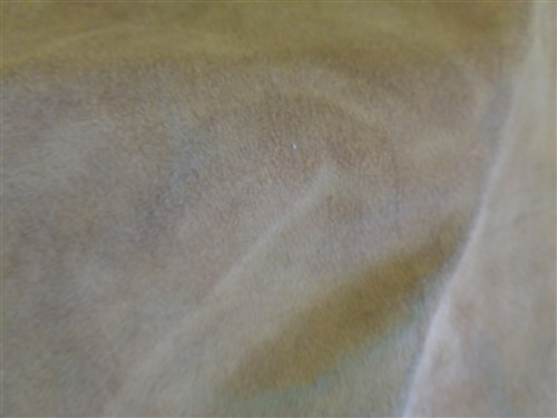 LEATHER HIDE BROWN 59" X 28 3/4"