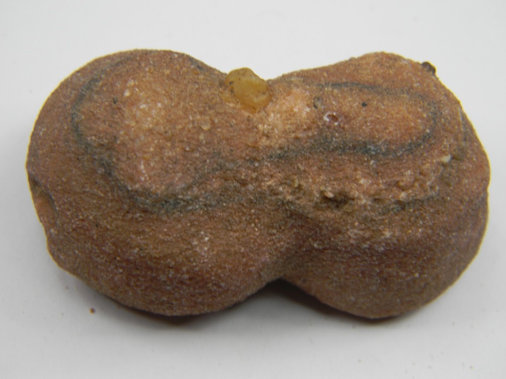 Stromatolite Fossil Morocco Medium 44.14 grams