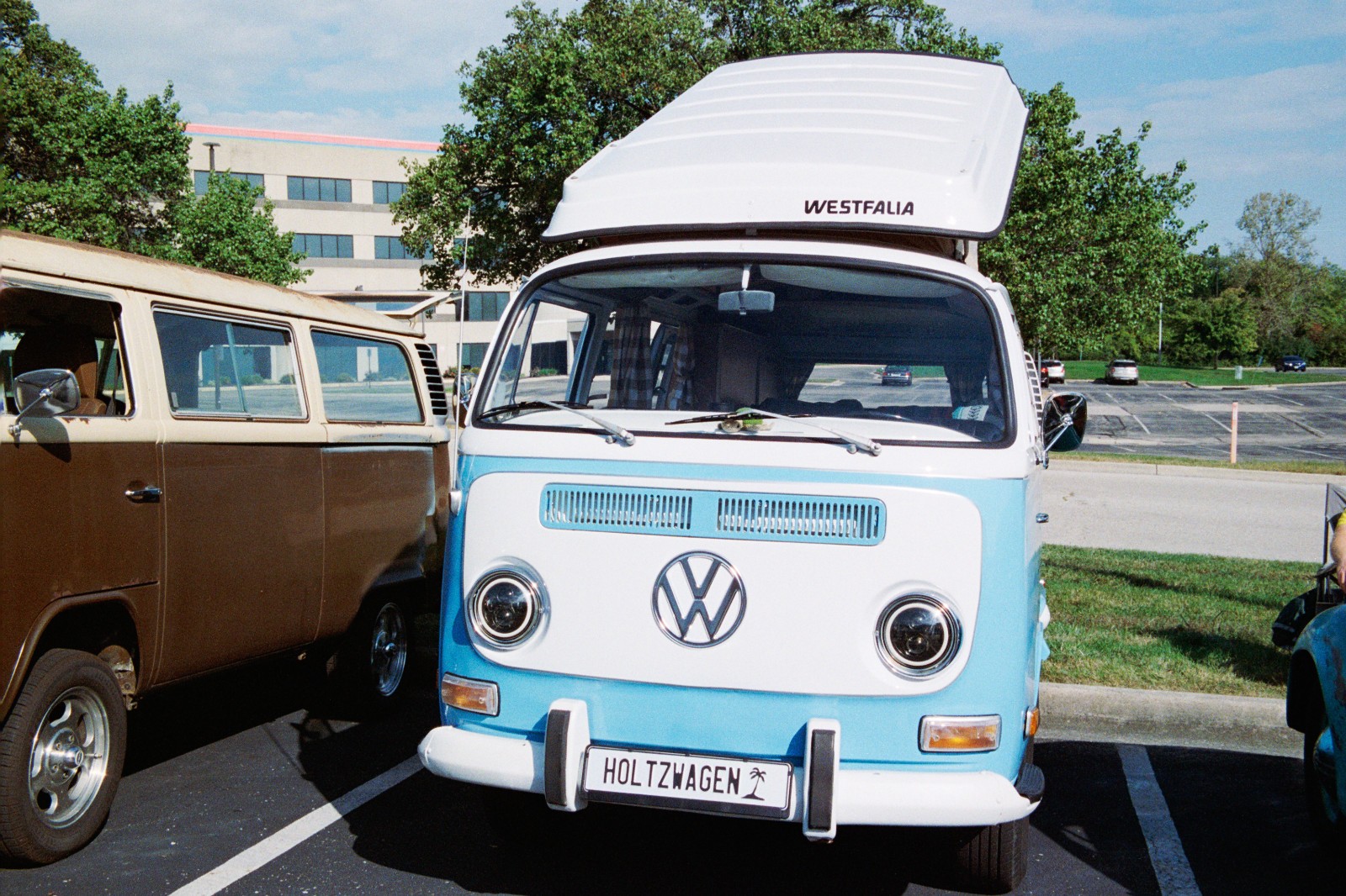 NIGHT ALIEN - 35mm Color Negative High Speed Film 800D - 36 exp C-41 BRAND NEW