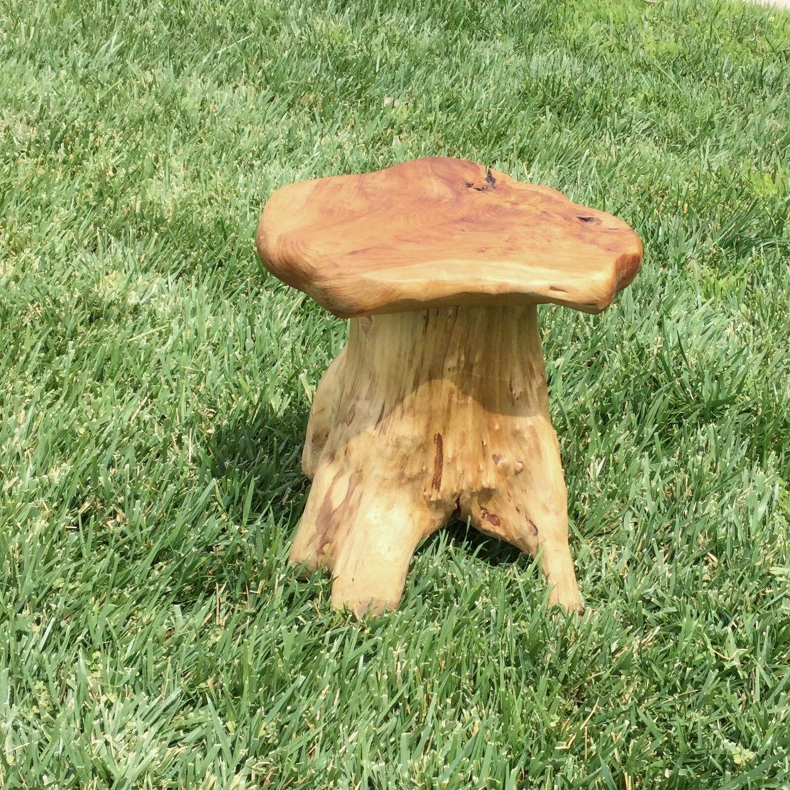 GREENAGE Natural Cedar Mushroom Stool Plant Stand Nightsstand Side Table 13.5" H