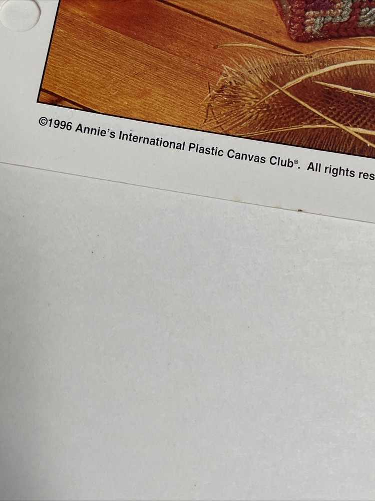 Fireside Basket Magazine Holder Annie's Plastic Canvas Pattern