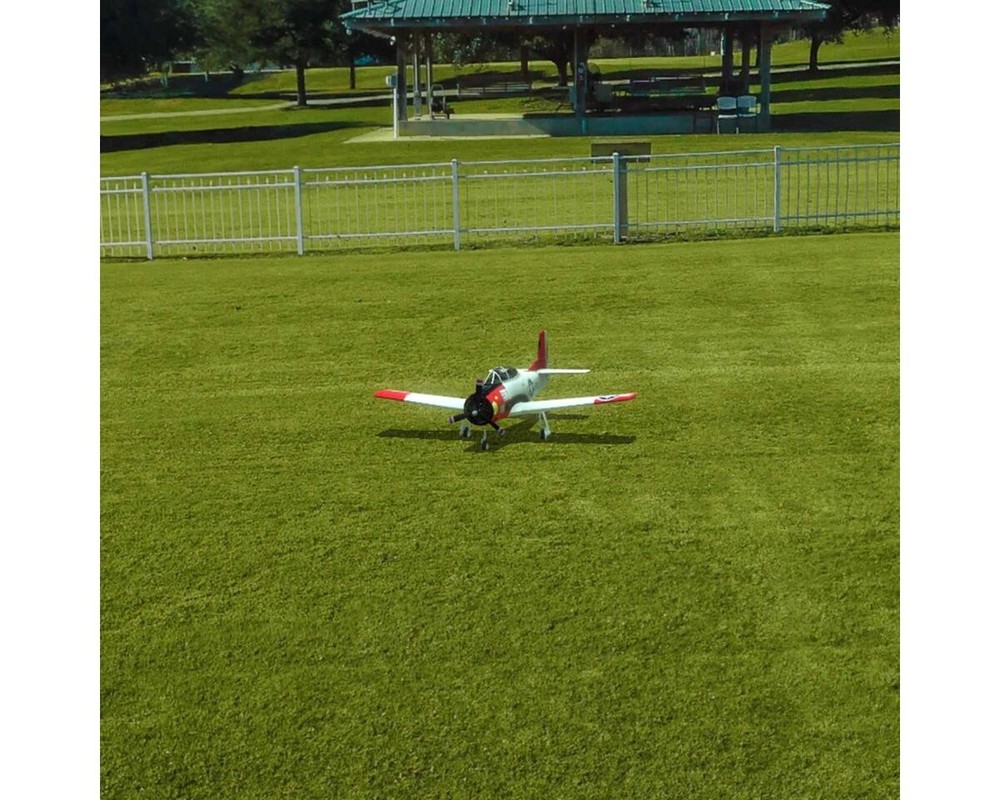 RealFlight Evolution RC Flight Simulator (Software Only) (Steam download)