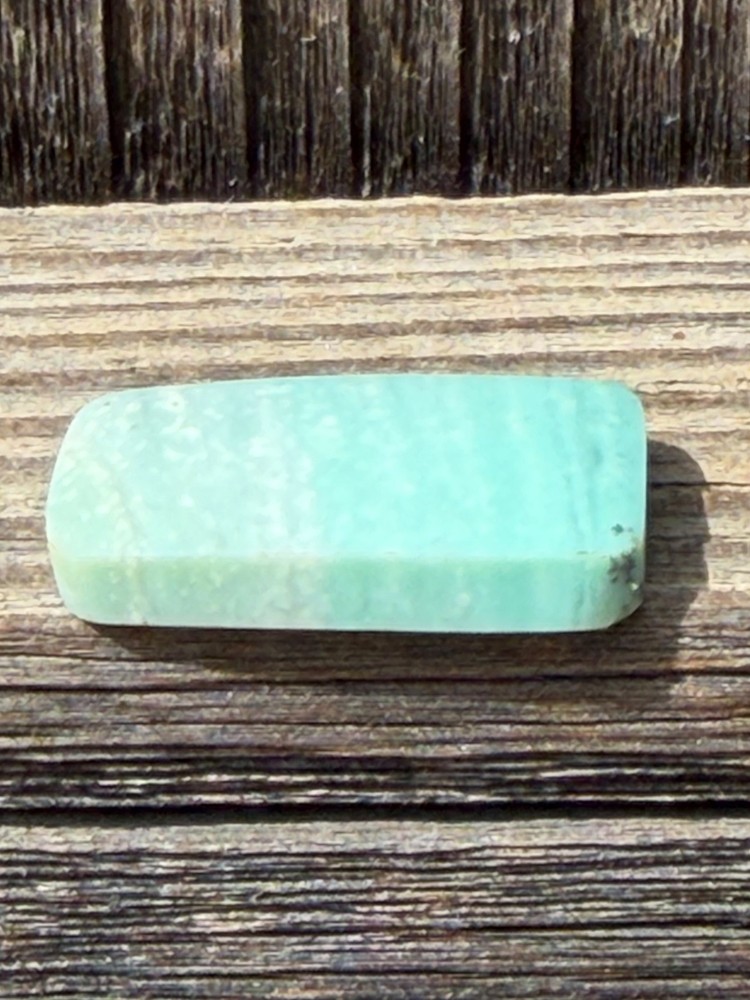 Blue Petrified Opalized Wood Cabochon