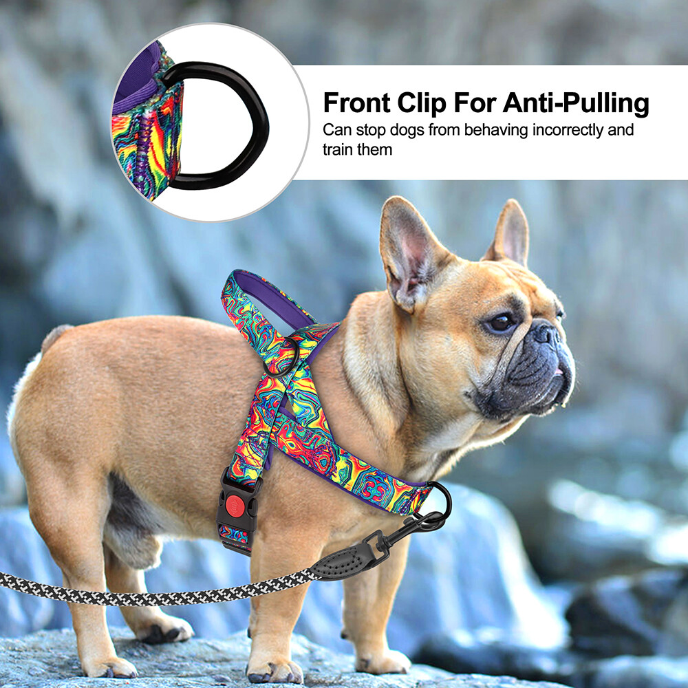 No Pull Dog Harness Nylon Soft Padded with Front Clip for Small Medium Large Dog