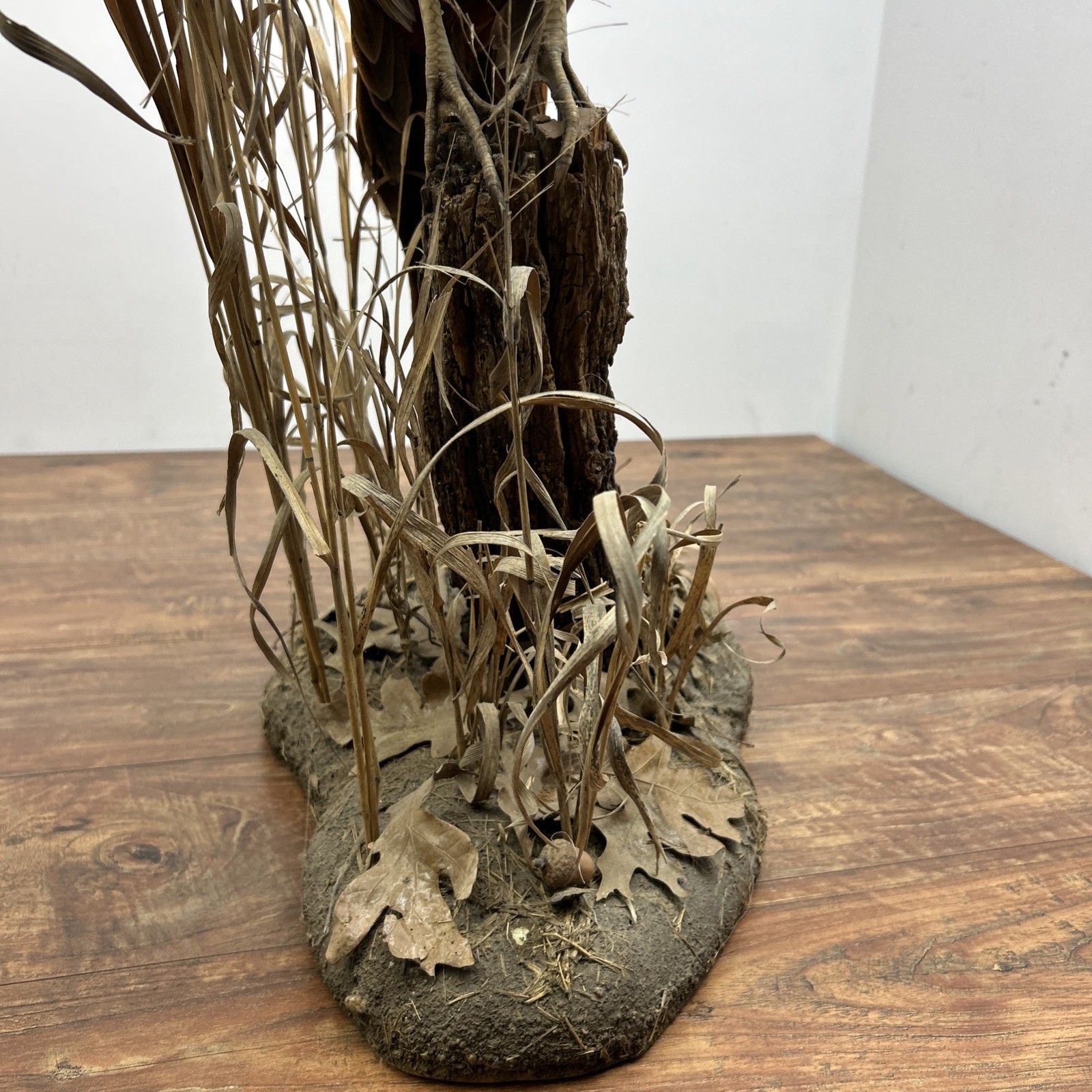 Ringneck Rooster Pheasant Taxidermy Standing Mount Habitat Base Foliage Wood