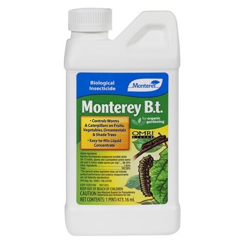 Monterey B.T. - 1 Pint