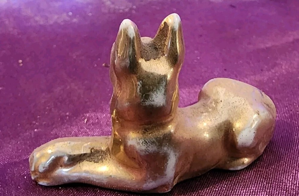 Gold German Shepherd