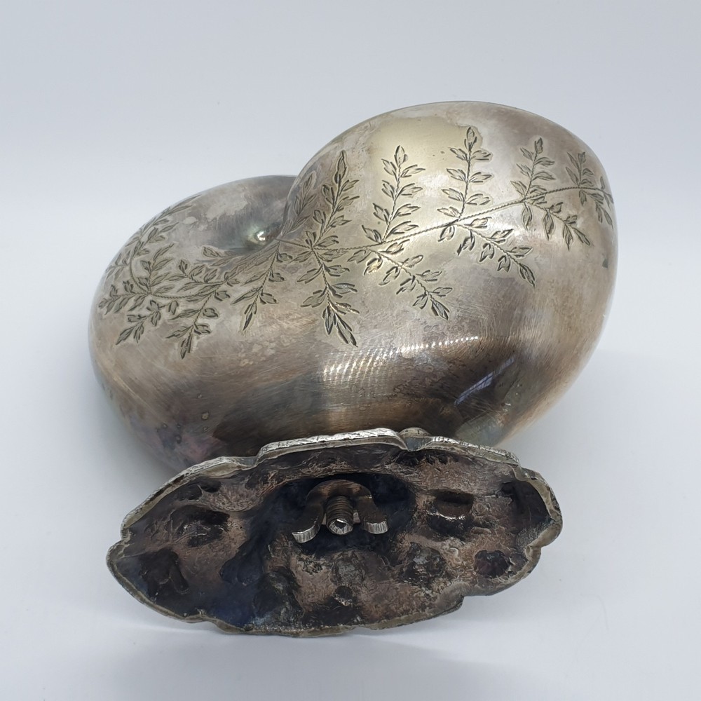 Victorian Silver Plated Nautilus Shell Spoon Warmer