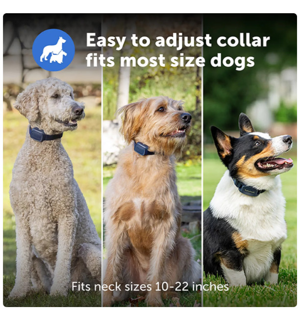 PetSafe Basic Dog Training Collar Remote 300ft Waterproof Rechargeable