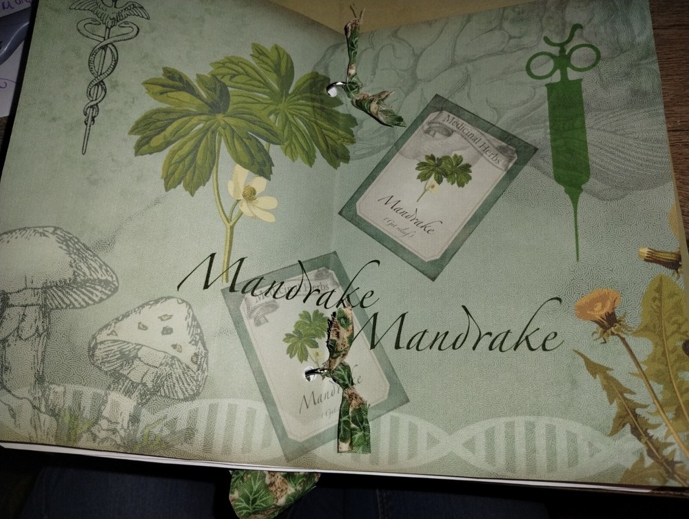 Herbalist Junk Journal Scrapbook USA