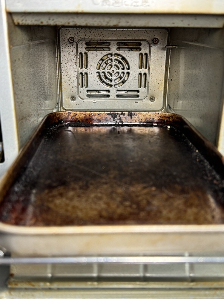 Doshisha Pieria Toaster Oven • COR-100B • Compact