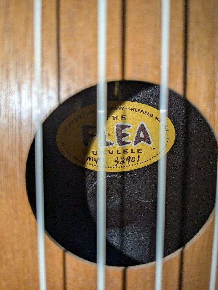 Ukulele Flea concert size rare walnut top no pattern