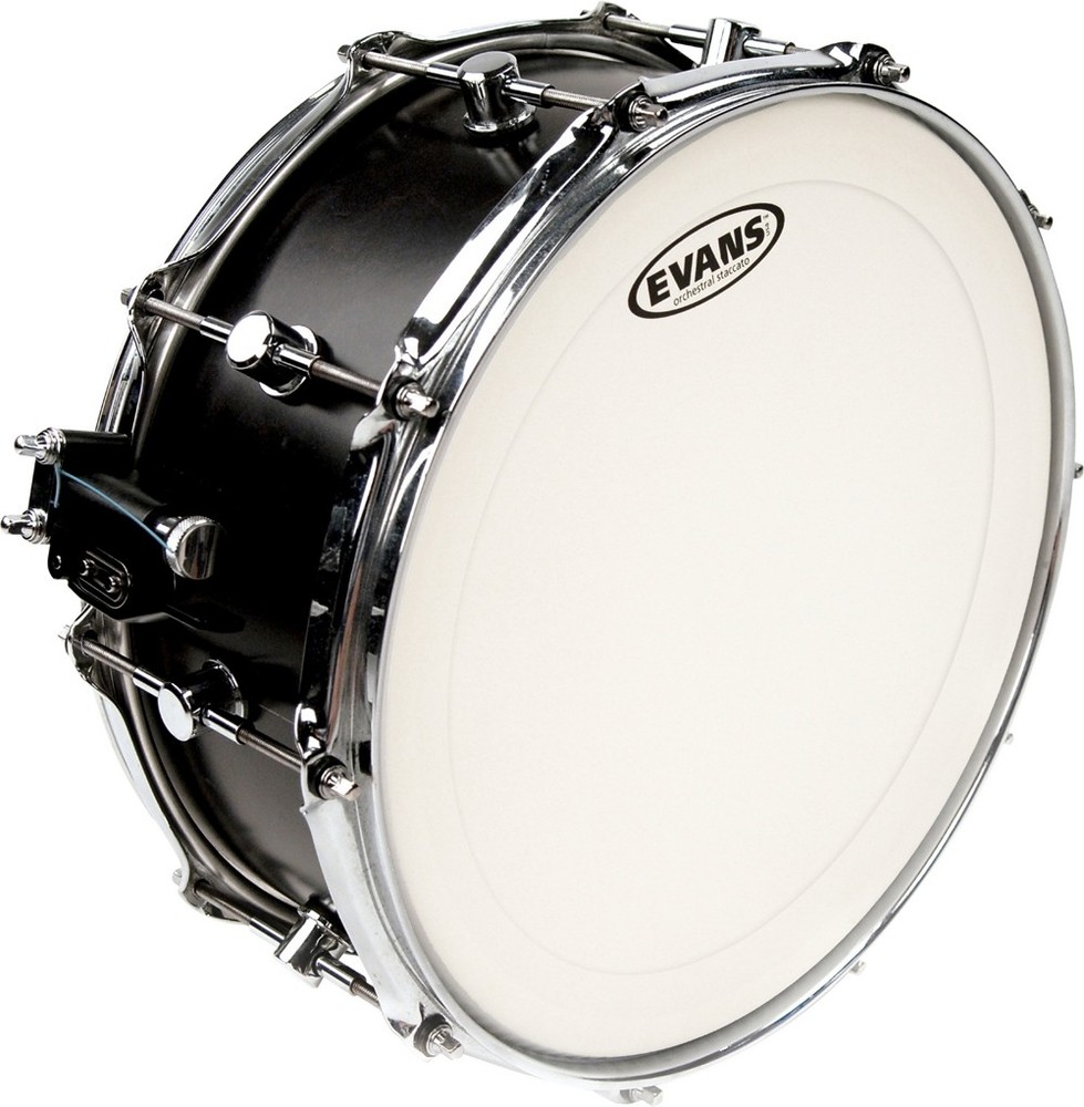 Evans Genera Staccato Coated Head 14 in.