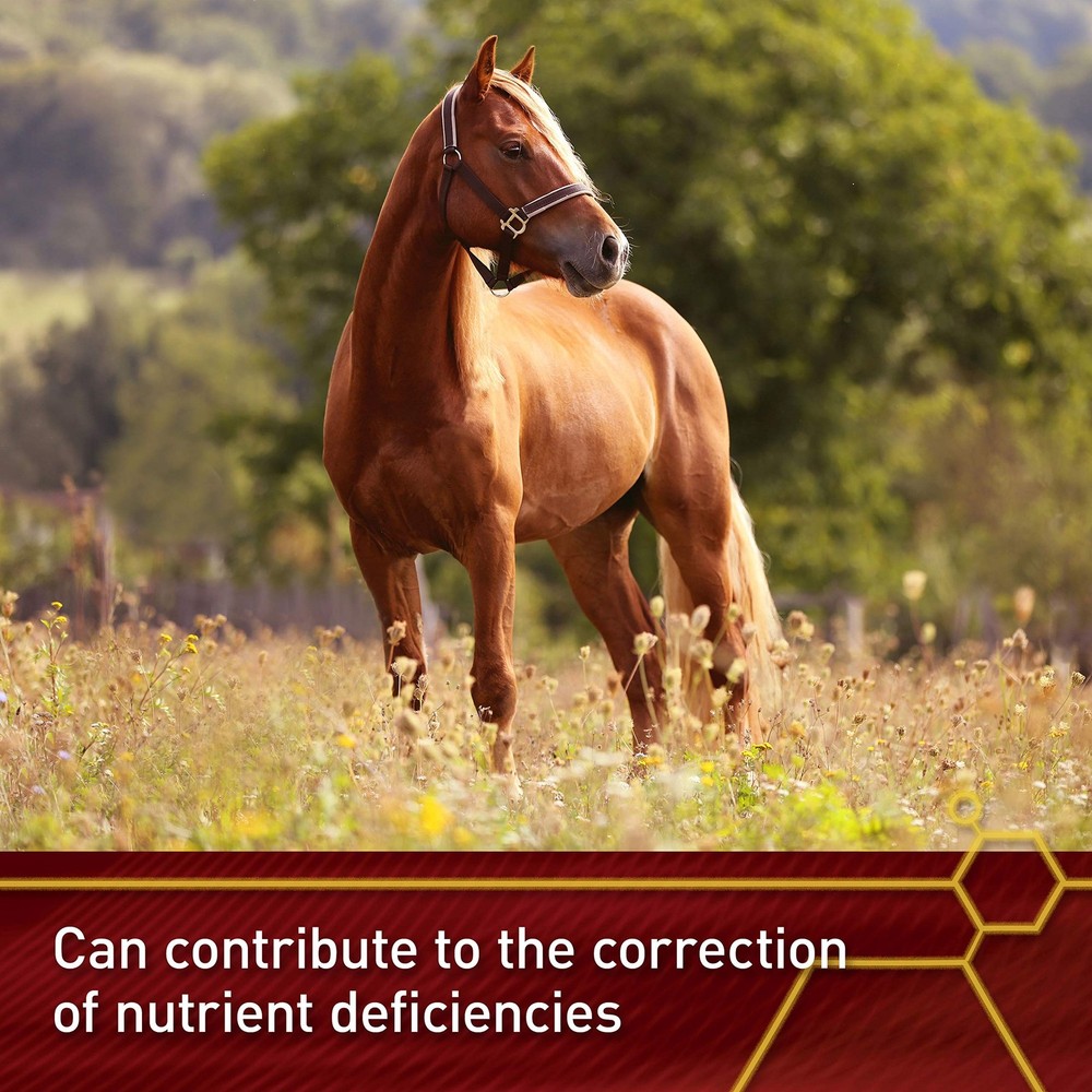 Pro E & Selenium Supplement, Vitamin E and Selenium Powder for Horses, Balanc...