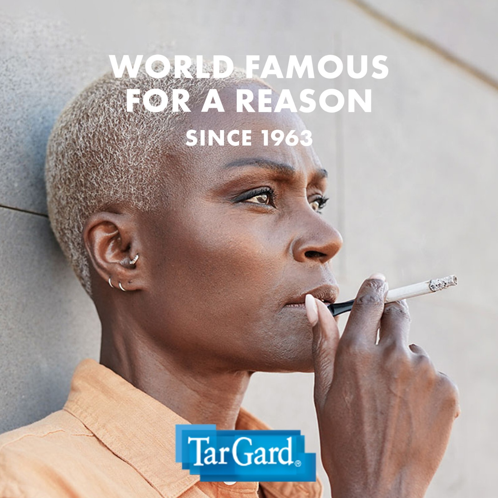 TarGard Cleanable Reusable Cigarette Filter, Smoking Holder, Pipe Tar Block