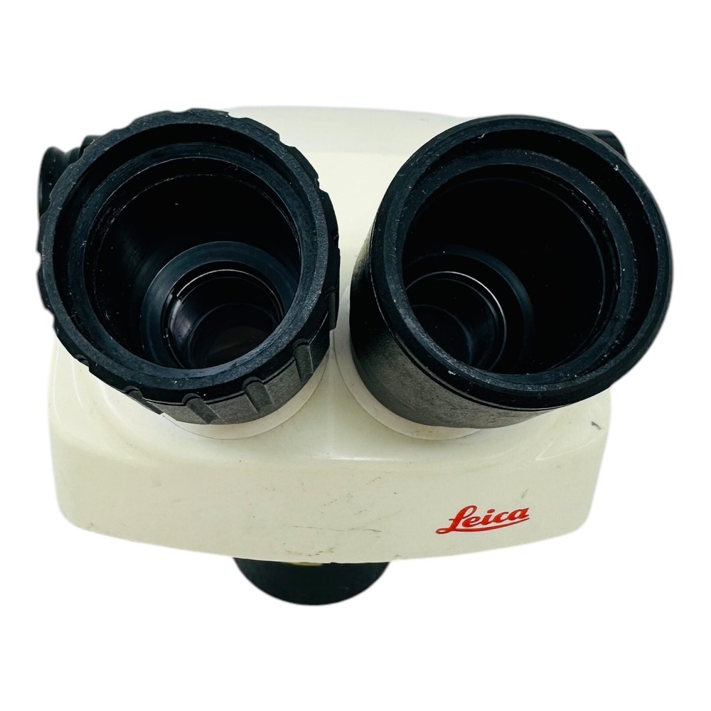 LEICA STEREOZOOM 6 PLUS MICROSCOPE HEAD