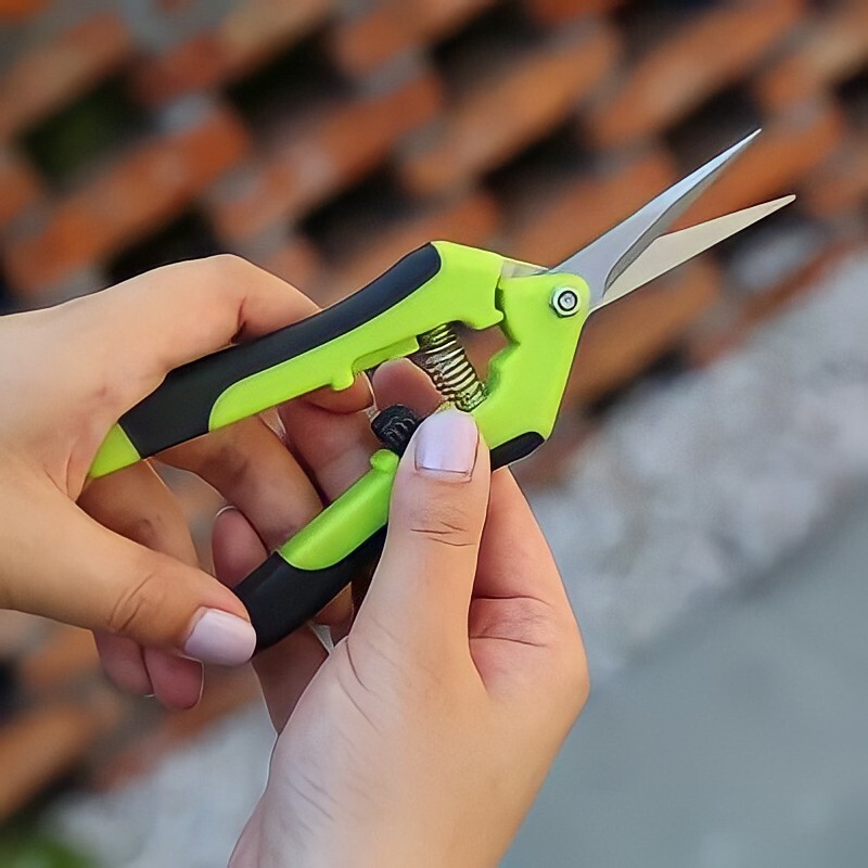 2 Pack Straight Blade Garden Scissors Bonsai Pruning Shear