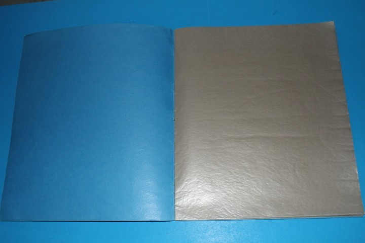 Wingra Mint Sheet File Capacity 10 pgs 2 pocket 12.75" x 10.75" BlueLakeStamps