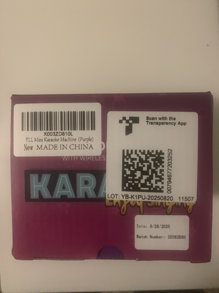Mini Karaoke Machine with 2 Wireless Microphones & Portable Bluetooth Speaker