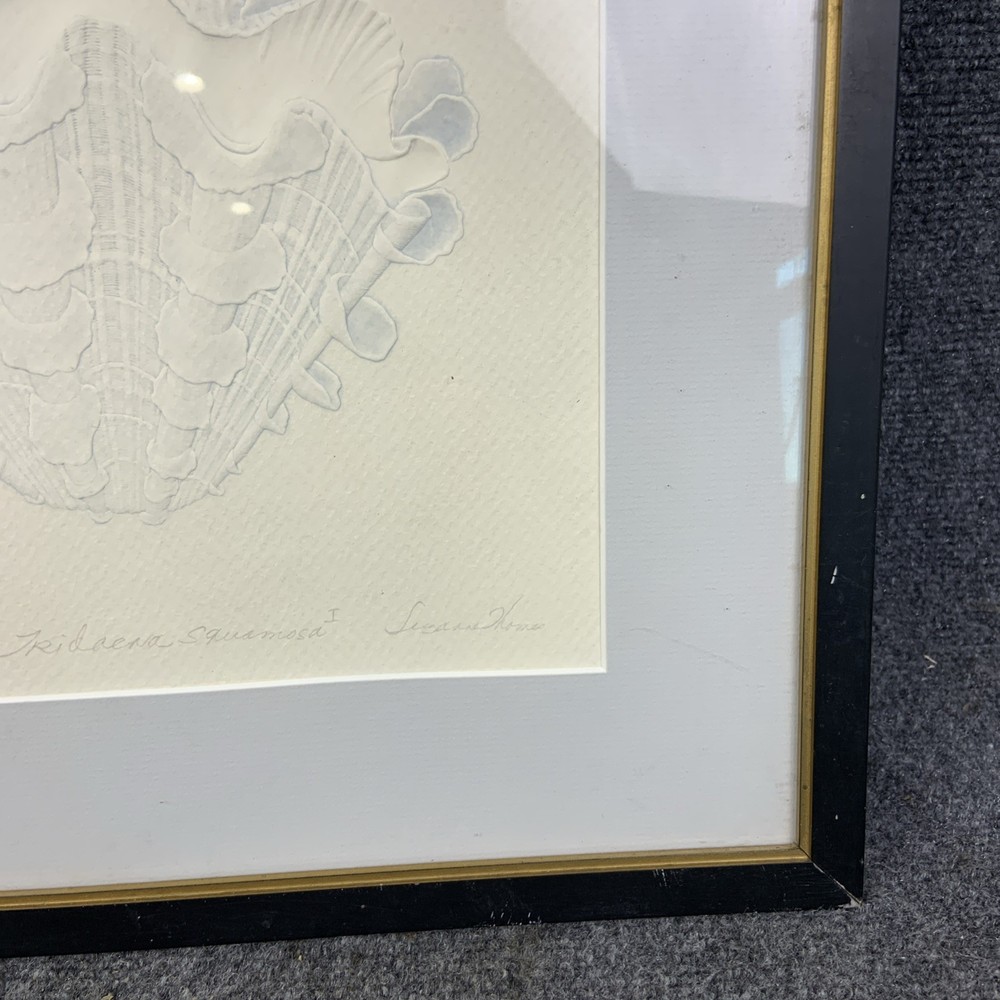 Suzanne Thomas Framed Tridaena Squamosa I Embossed Shell Signed Artist’s Proof