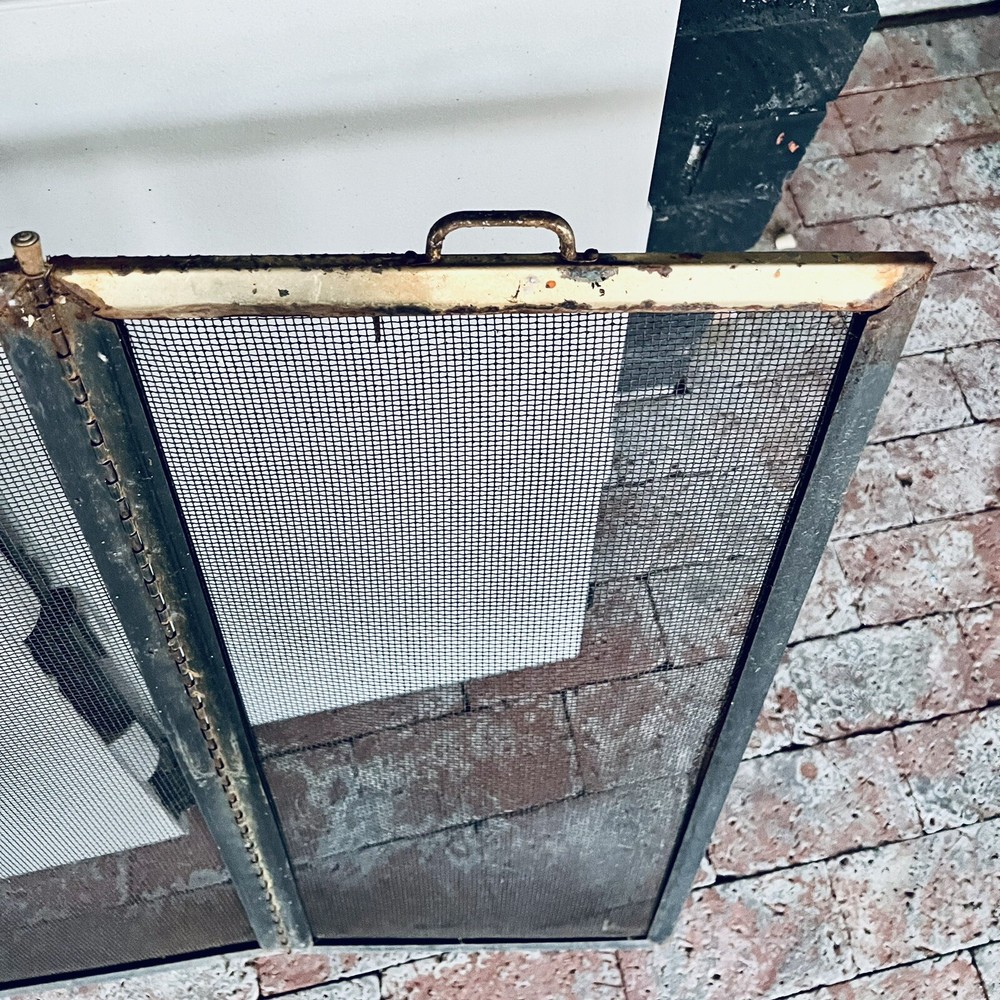 Fireplace Screen
