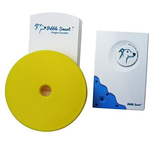 Doggie Doorbell - Blue Accent