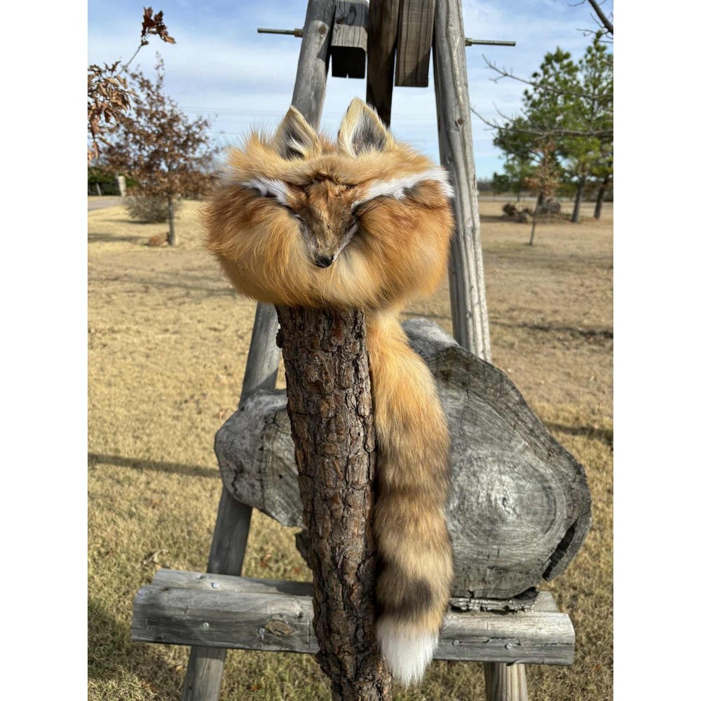 FHMM4 - Red Fox Daniel Boone hat