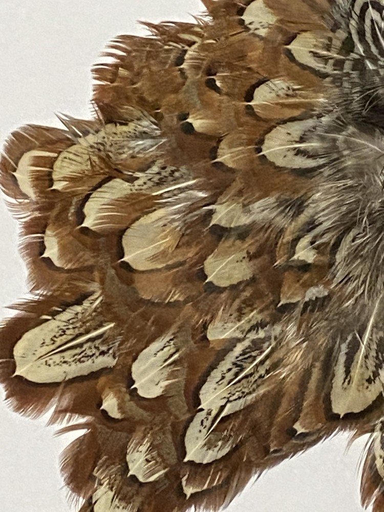 Cock Pheasant Shoulder Patch - Church Windows