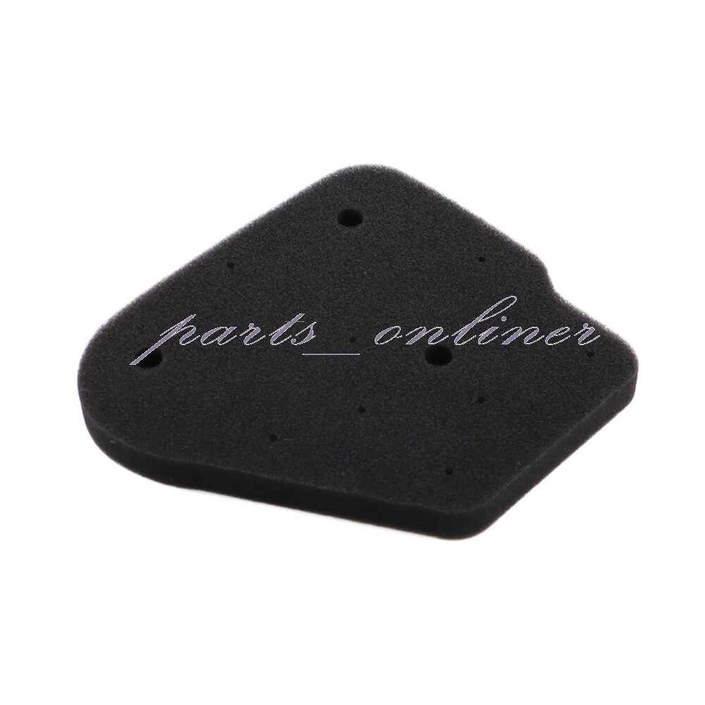 Air Filter for Polaris Scrambler Sportsman Predator 50 90 01 - 06 0450073 Plug