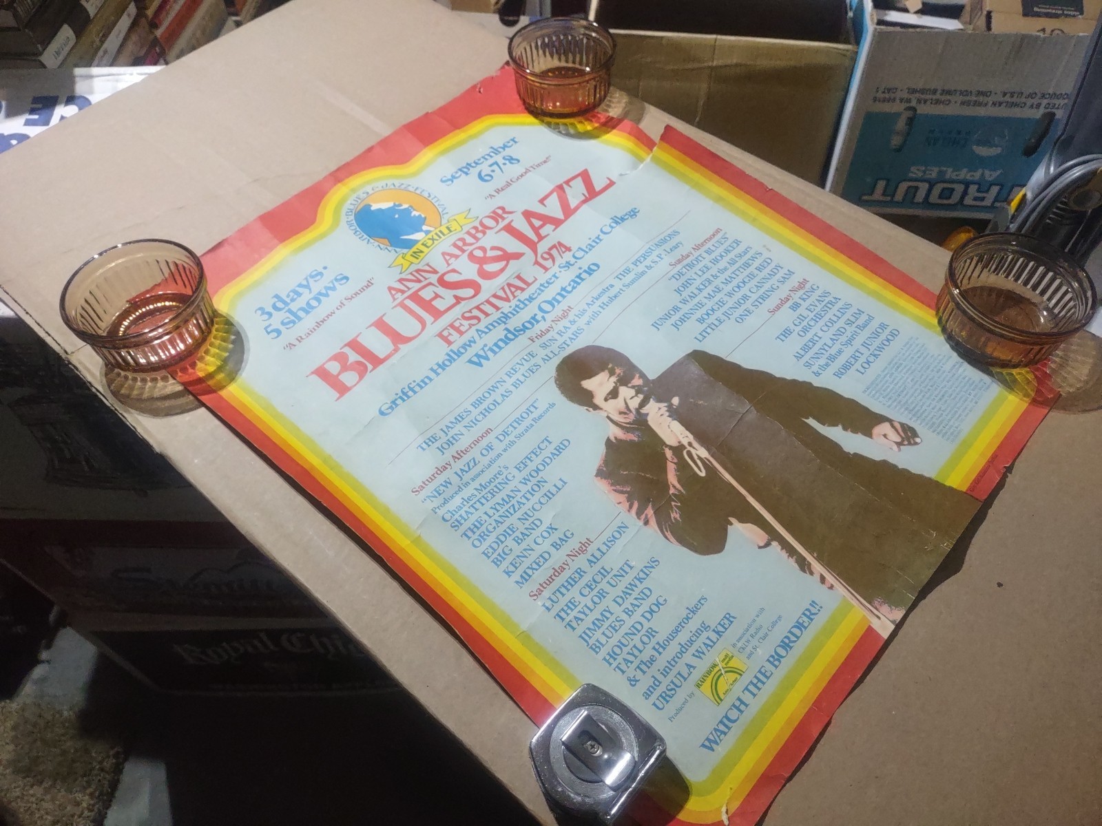 ORIGINAL 1974 ANN ARBOR BLUES & JAZZ FESTIVAL POSTER FEATURING JAMES BROWN