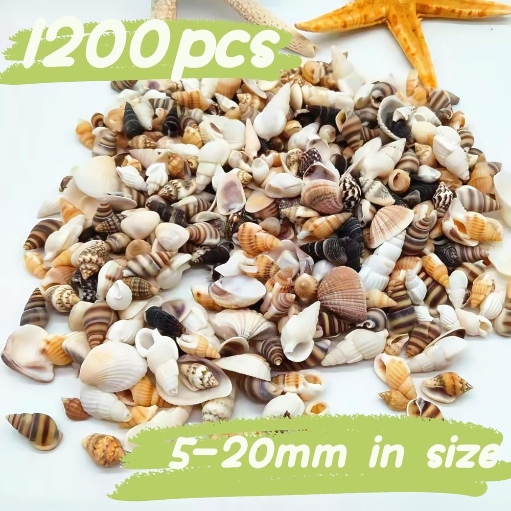1200 PCS Tiny Sea Shells &10 Small Starfish - Mixed Ocean Beach Spiral Seashells