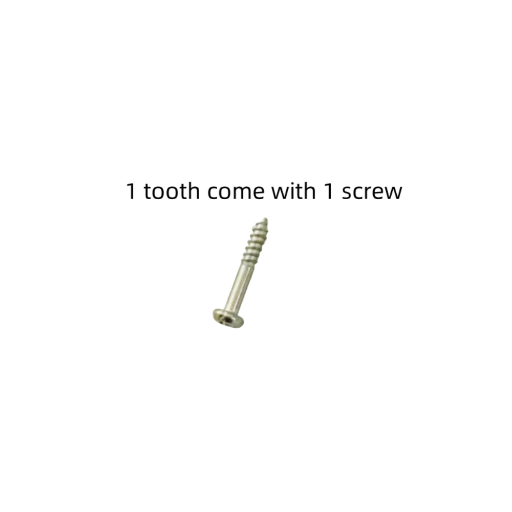 Dental Molar/Front Vitro Teeth Decay Caries Tooth Model Dentist Student Practise