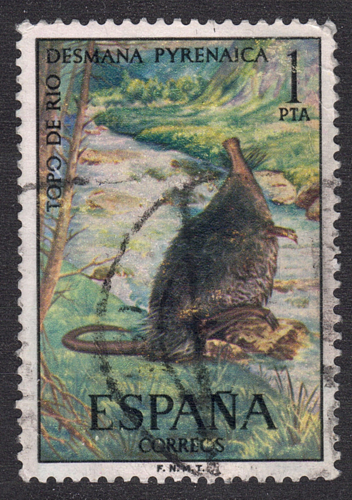 1972 Spain SC#  1729 - Aquatic Mole - Used