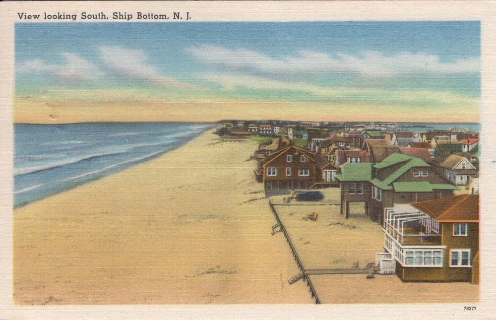 VIEW LOOKING SOUTH, SHP BOTTOM, NJ - PC1332