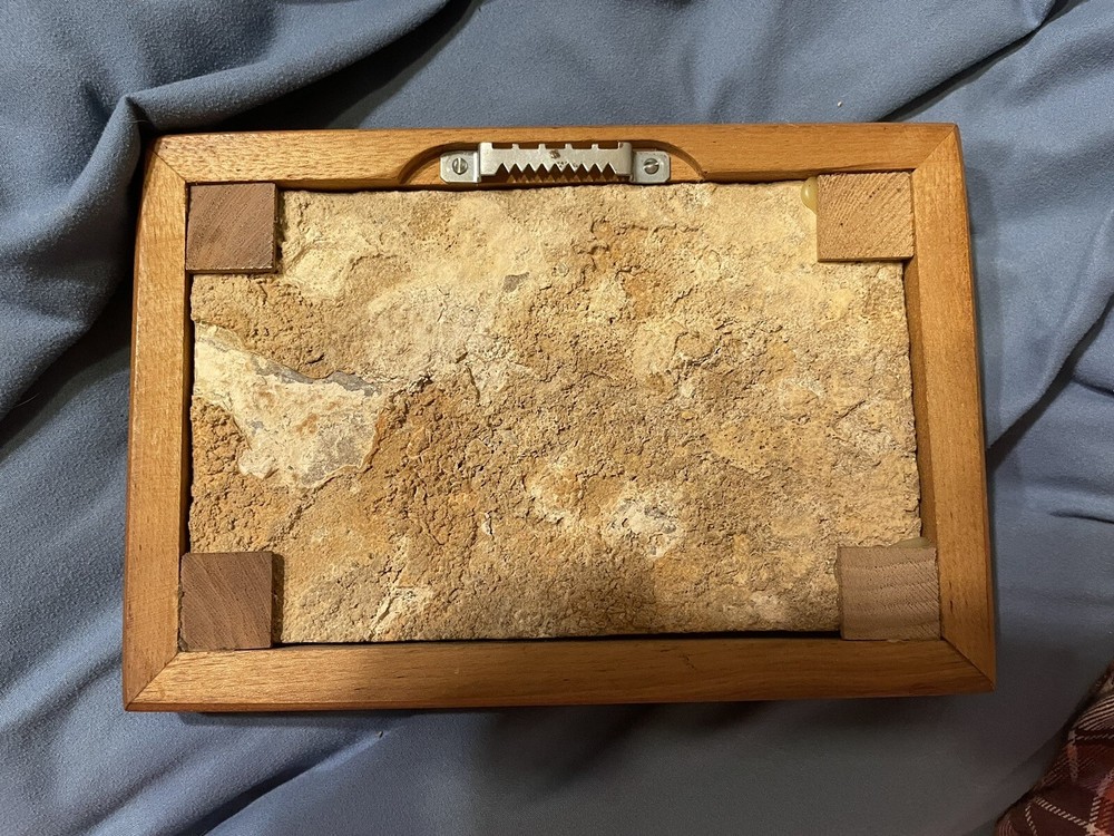 5x7 Framed Solid Fossil Fish Plate