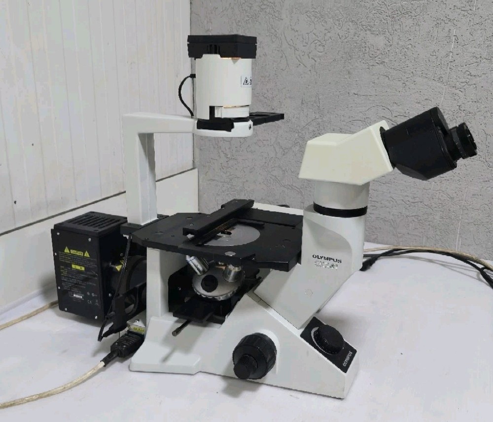 Olympus CKX41 Inverted Fluorescence Phase Contrast Microscope with 3 Objectives