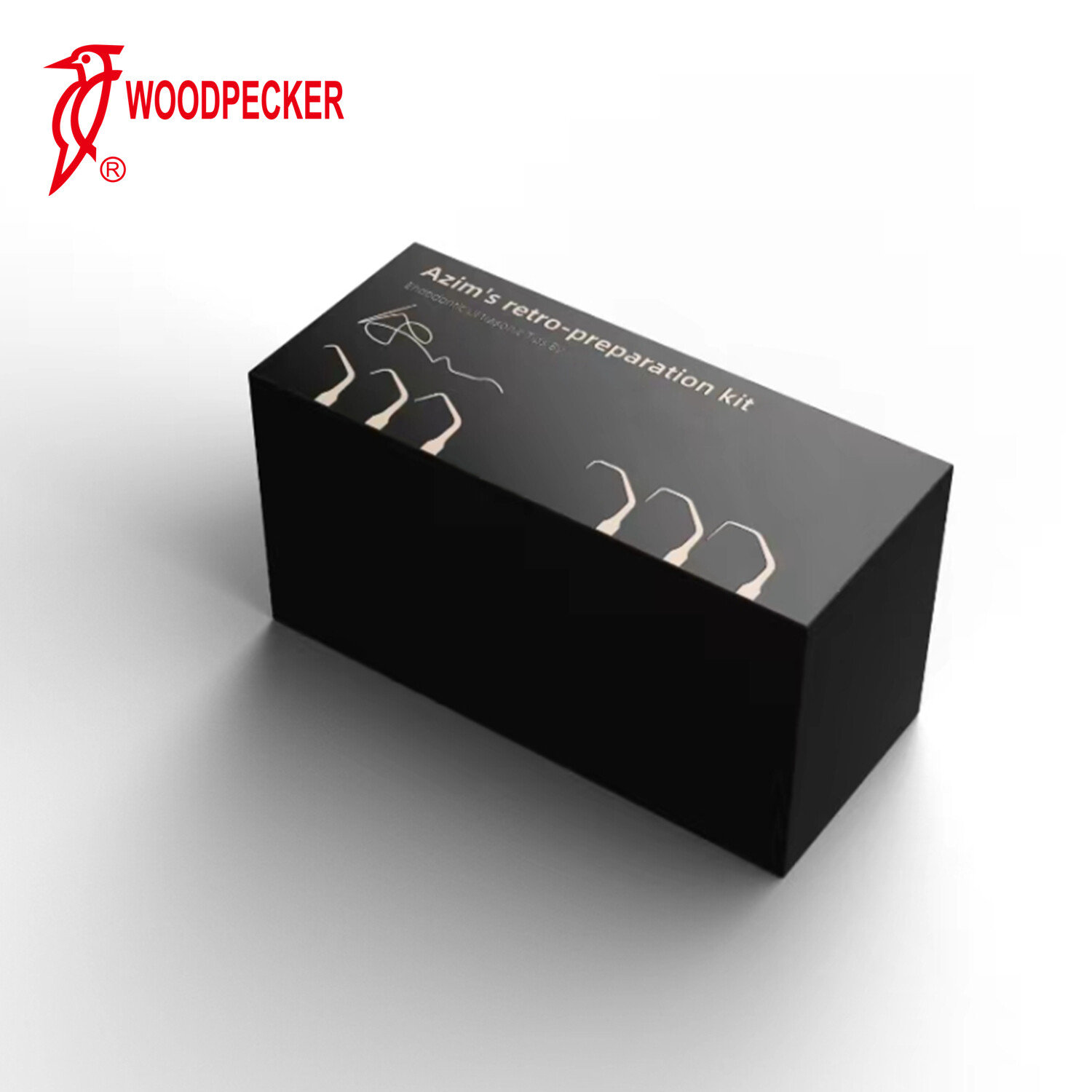 Woodpecker DTE Dr Azim's Retro-Preparation Endodontic Kit Ultrasonic Scaler Tips