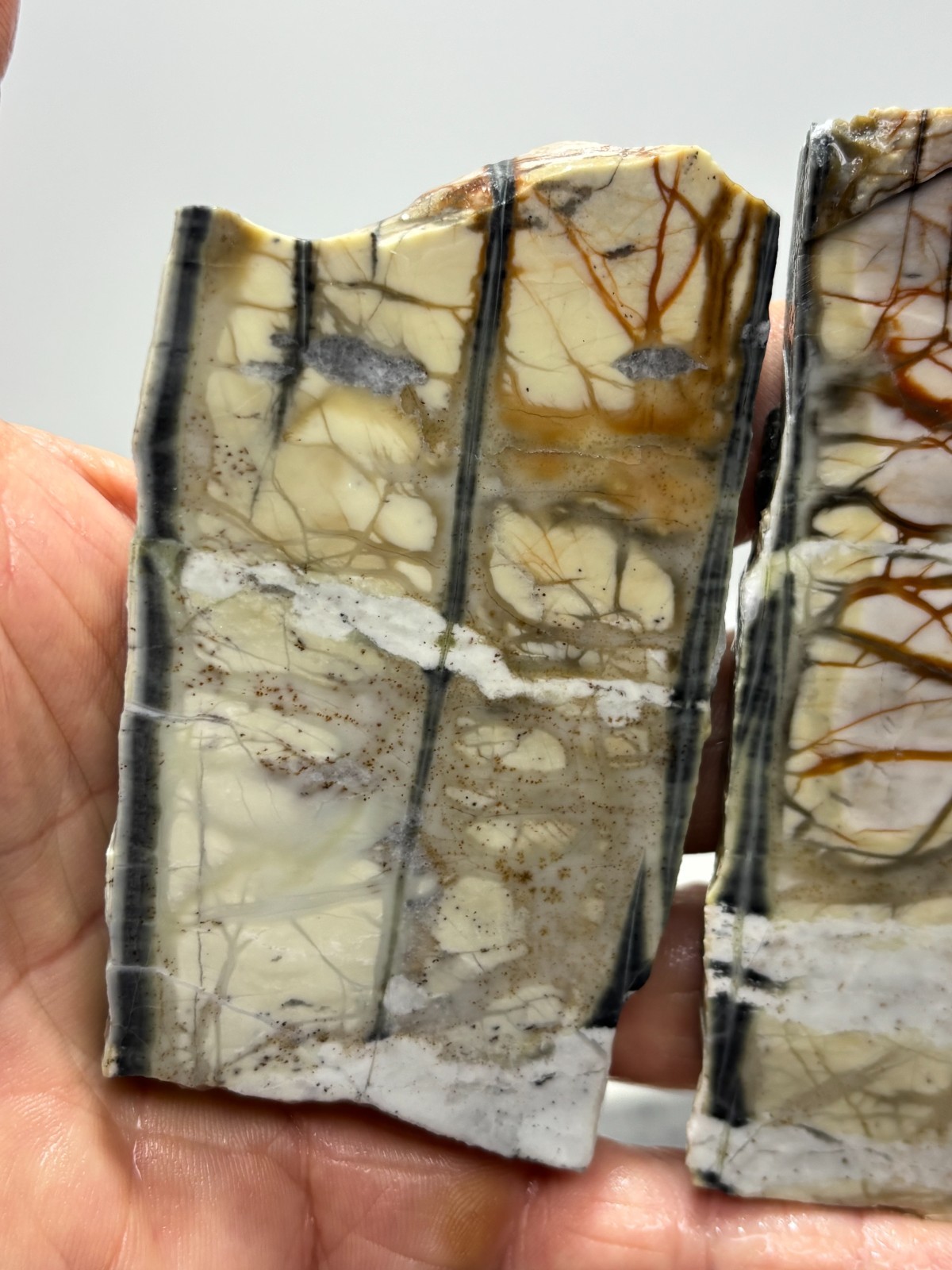 Picasso Marble (Jasper) Slabs Cabbing Lapidary Utah Combo Ship Avail