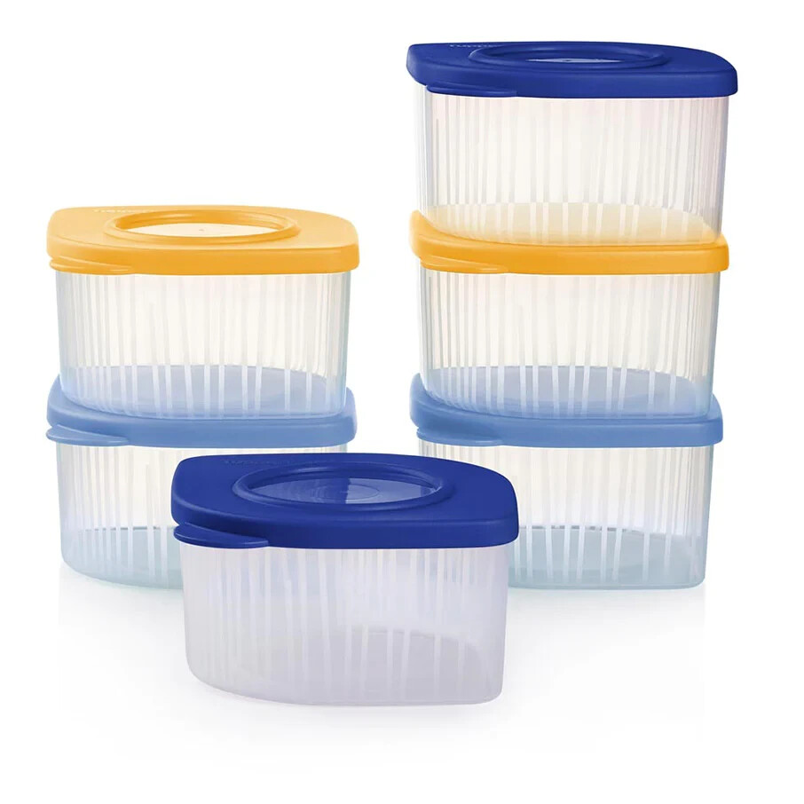 Tupperware Fresh 'N Cool Small Set