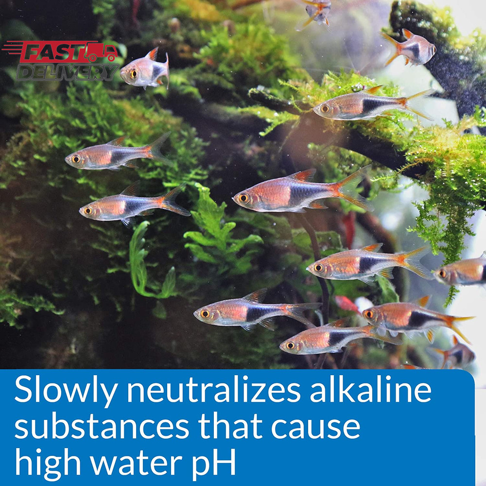 API Aquarium Pharmaceuticals 30B Ph down Aquarium Ph Adjuster, 16 Oz, Model Numb
