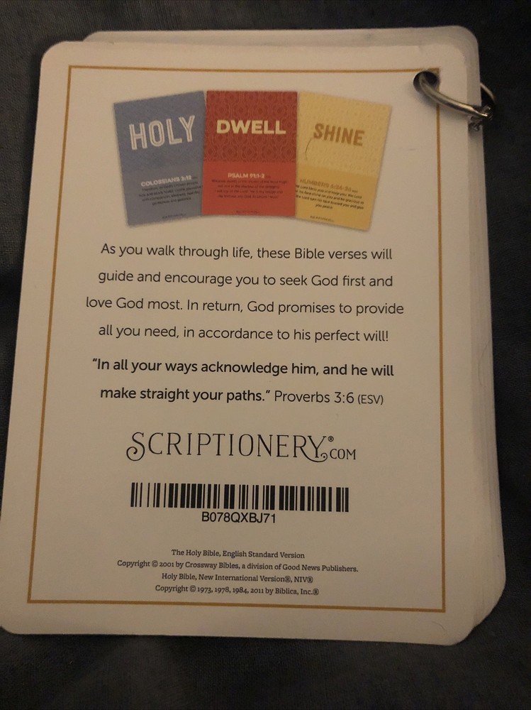 Scriptionery - Go forth Scripture Truths 20 Bible Verses Cards on a ring