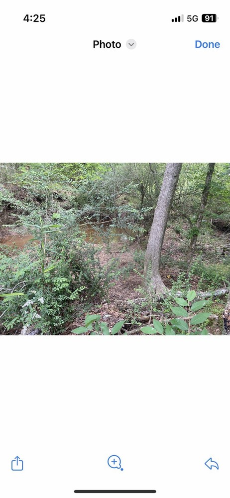 Lynyrd Skynyrd Signed COA Plane Crash Steel Rivet 1”X1” From Fuselage Craig Reed